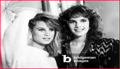 All About Nicollette Sheridan: A Television Icon